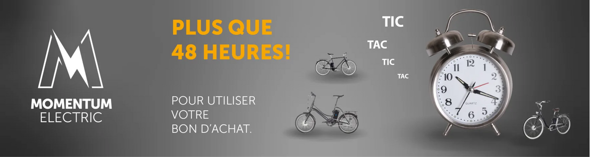 Essai d'un vélo électrique Momentum Electric pendant 48h