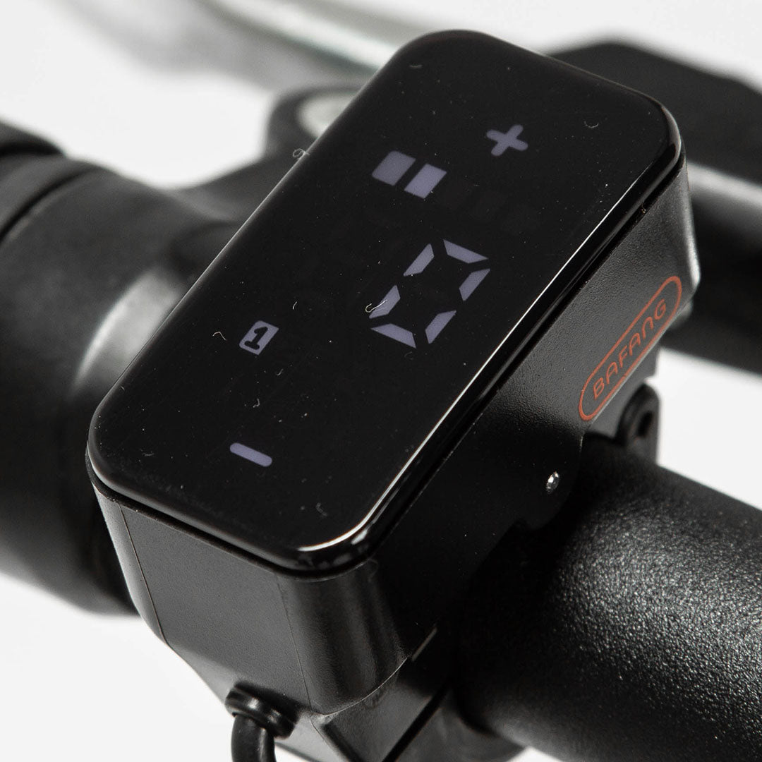 Display 2G - Momentum Electric